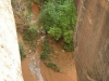 p22-10-rc_tn_large