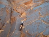 p22-3-rc_tn_large