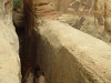 p22-9-rc_tn_large