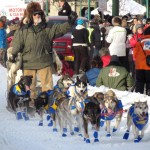 Iditarod Race