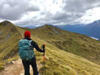 Kepler Track